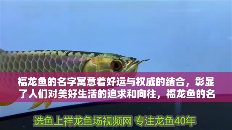福龍魚的名字寓意著好運與權威的結合，彰顯了人們對美好生活的追求和向往，福龍魚的名字及其含義寓意寓意著好運與權威的結合