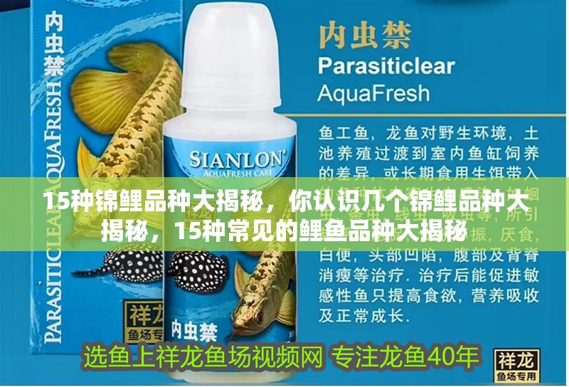 15種錦鯉品種大揭秘，你認識幾個錦鯉品種大揭秘，15種常見的鯉魚品種大揭秘