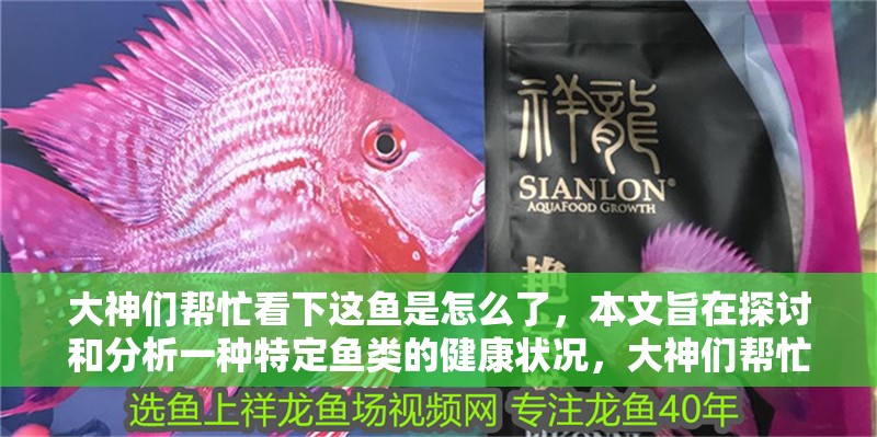 大神們幫忙看下這魚是怎么了，本文旨在探討和分析一種特定魚類的健康狀況，大神們幫忙看下這魚是怎么了，