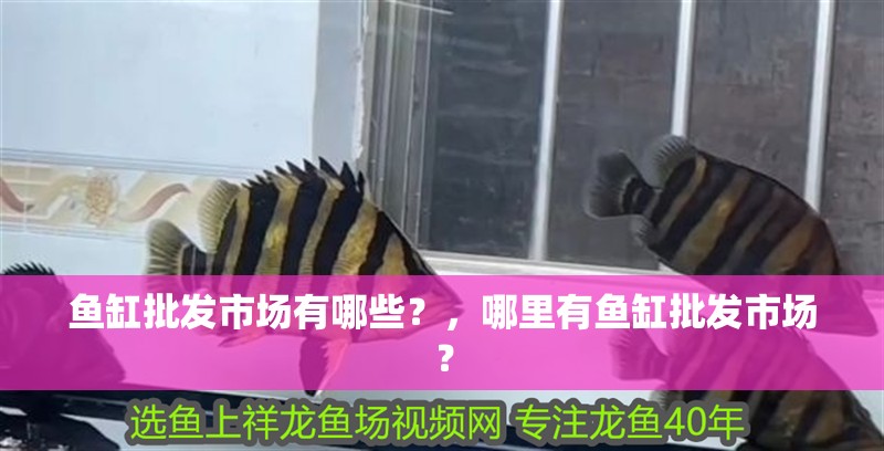 魚缸批發市場有哪些？，哪里有魚缸批發市場？