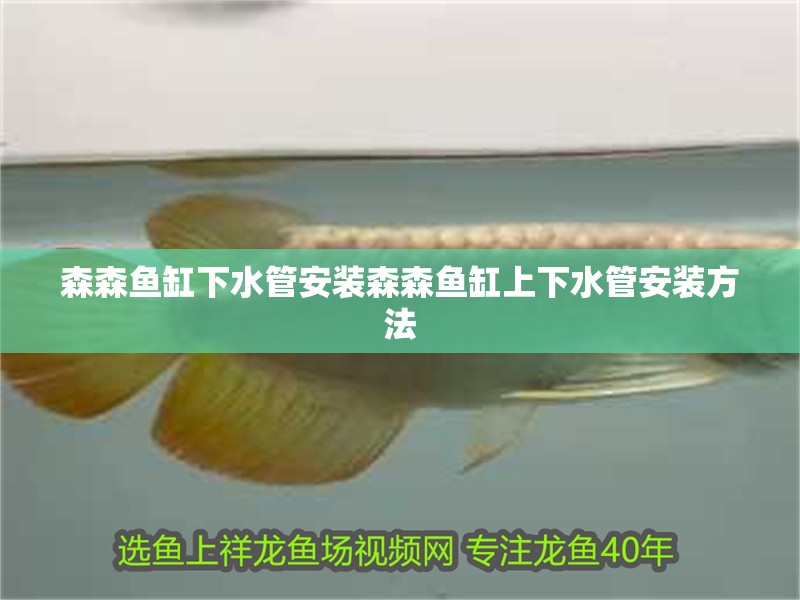 森森魚缸下水管安裝森森魚缸上下水管安裝方法