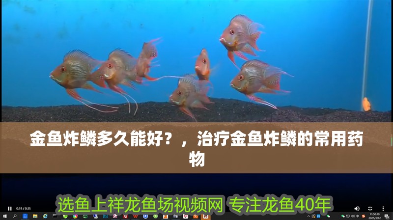 金魚炸鱗多久能好？，治療金魚炸鱗的常用藥物