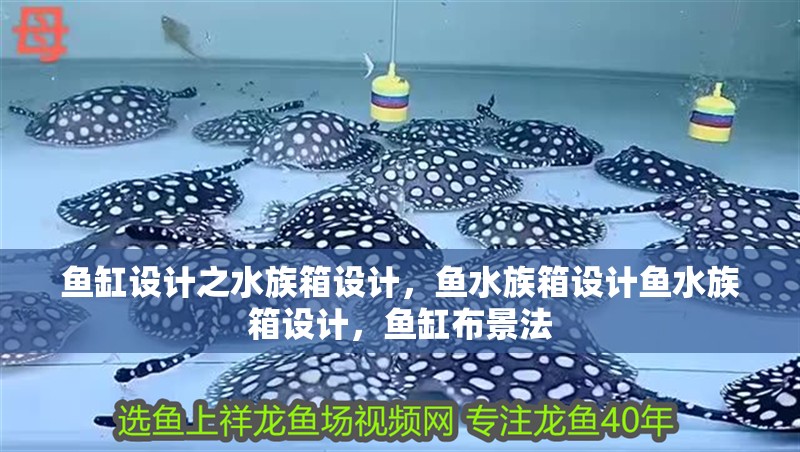 魚缸設計之水族箱設計，魚水族箱設計魚水族箱設計，魚缸布景法
