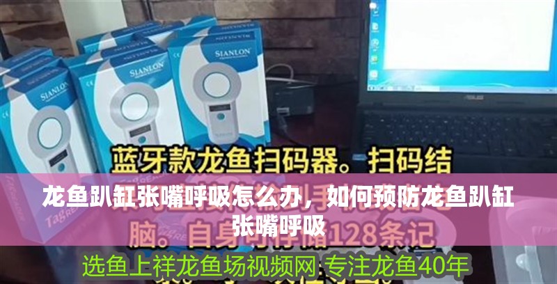 龍魚趴缸張嘴呼吸怎么辦，如何預防龍魚趴缸張嘴呼吸