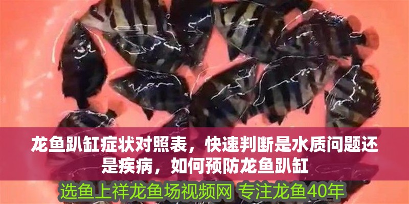 龍魚趴缸癥狀對照表，快速判斷是水質問題還是疾病，如何預防龍魚趴缸