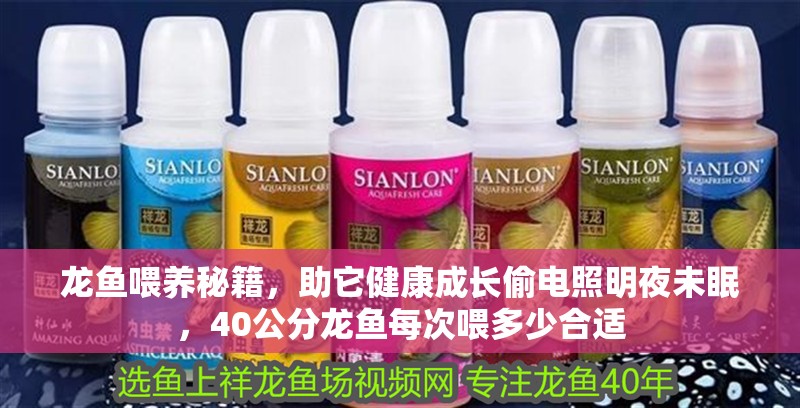 龍魚喂養秘籍，助它健康成長偷電照明夜未眠，40公分龍魚每次喂多少合適