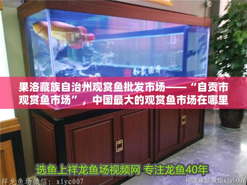 果洛藏族自治州觀賞魚批發(fā)市場——“自貢市觀賞魚市場”，中國最大的觀賞魚市場在哪里？