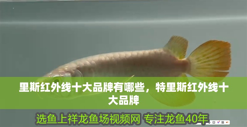 里斯紅外線十大品牌有哪些，特里斯紅外線十大品牌