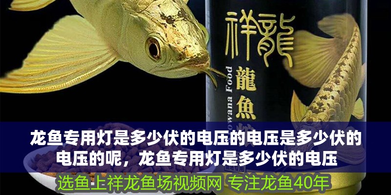 龍魚專用燈是多少伏的電壓的電壓是多少伏的電壓的呢，龍魚專用燈是多少伏的電壓