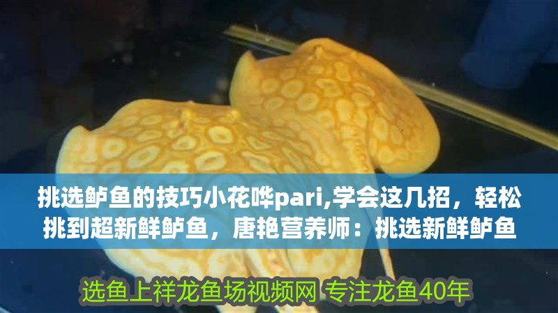 挑選鱸魚的技巧小花嘩pari,學會這幾招，輕松挑到超新鮮鱸魚，唐艷營養師：挑選新鮮鱸魚的技巧小花嘩pari,學會這幾招