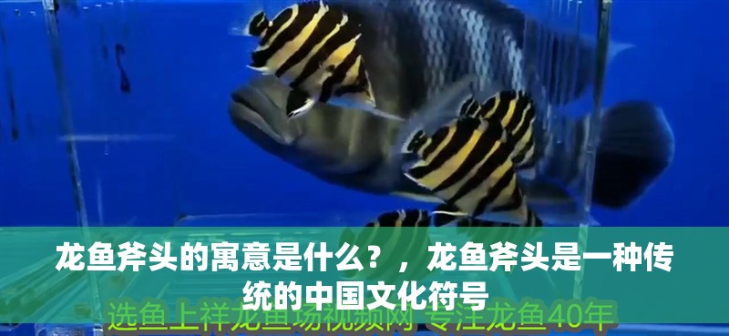 龍魚斧頭的寓意是什么？，龍魚斧頭是一種傳統的中國文化符號