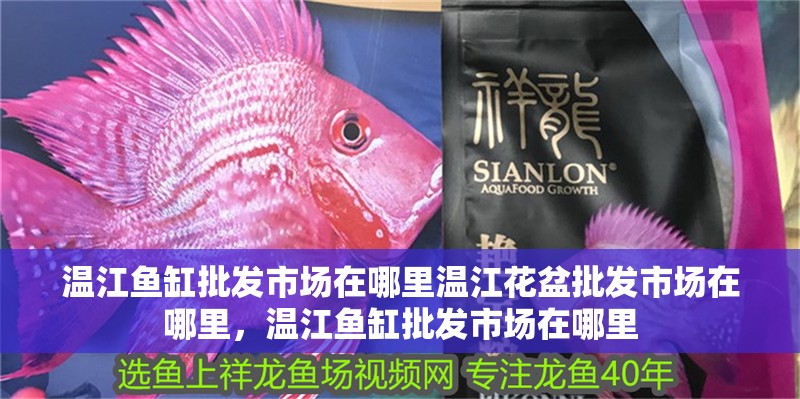 溫江魚缸批發市場在哪里溫江花盆批發市場在哪里，溫江魚缸批發市場在哪里