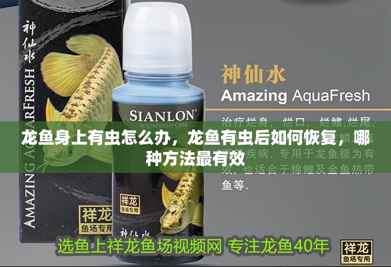 龍魚身上有蟲怎么辦，龍魚有蟲后如何恢復，哪種方法最有效