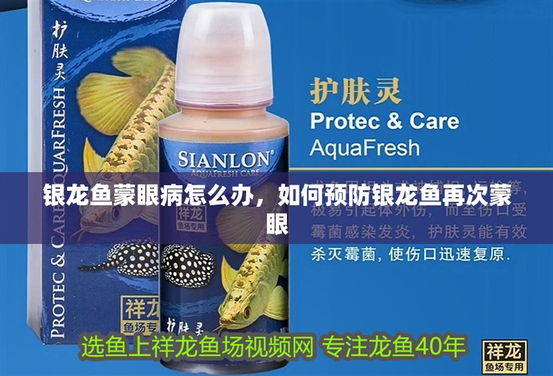 銀龍魚蒙眼病怎么辦，如何預防銀龍魚再次蒙眼