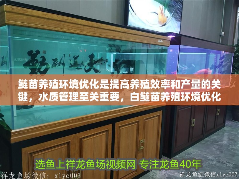 鰱苗養殖環境優化是提高養殖效率和產量的關鍵，水質管理至關重要，白鰱苗養殖環境優化是提高養殖效率和產量的關鍵