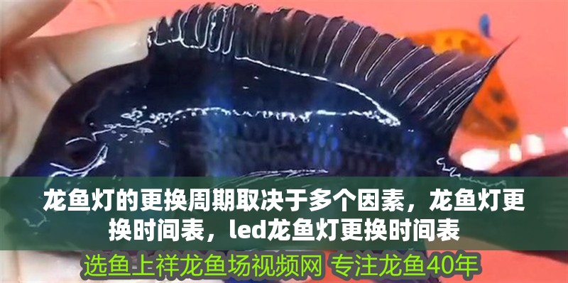 龍魚燈的更換周期取決于多個因素，龍魚燈更換時間表，led龍魚燈更換時間表