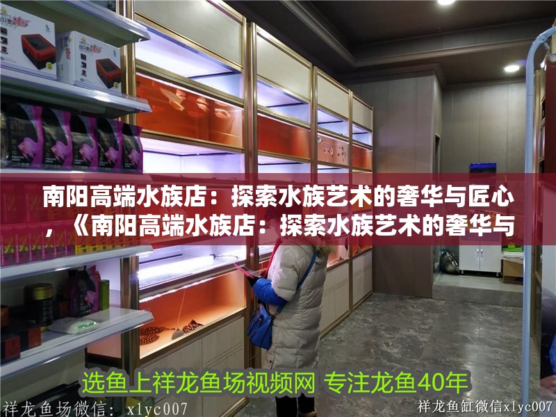 南陽高端水族店：探索水族藝術的奢華與匠心，《南陽高端水族店：探索水族藝術的奢華與匠心》