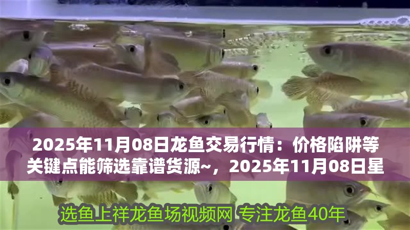 2025年11月08日龍魚交易行情：價格陷阱等關鍵點能篩選靠譜貨源~，2025年11月08日星期六龍魚交易行情