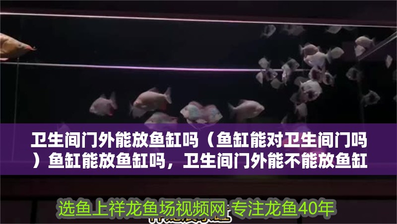 衛(wèi)生間門(mén)外能放魚(yú)缸嗎（魚(yú)缸能對(duì)衛(wèi)生間門(mén)嗎）魚(yú)缸能放魚(yú)缸嗎，衛(wèi)生間門(mén)外能不能放魚(yú)缸？
