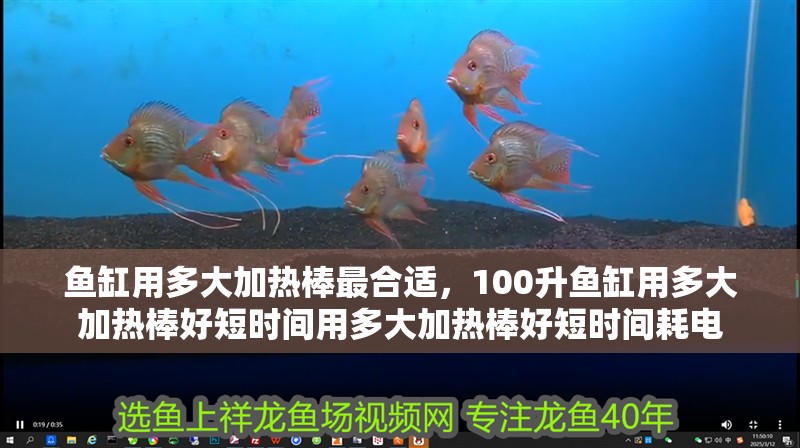 魚缸用多大加熱棒最合適，100升魚缸用多大加熱棒好短時間用多大加熱棒好短時間耗電