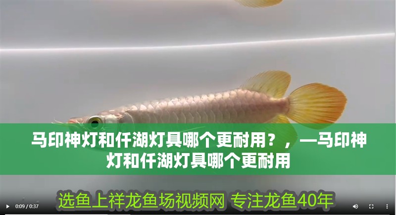 馬印神燈和仟湖燈具哪個(gè)更耐用？，—馬印神燈和仟湖燈具哪個(gè)更耐用