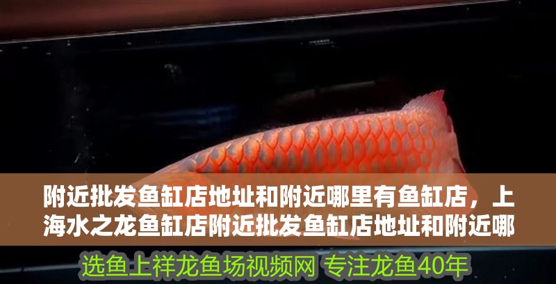 附近批發魚缸店地址和附近哪里有魚缸店，上海水之龍魚缸店附近批發魚缸店地址和附近哪里有魚缸店