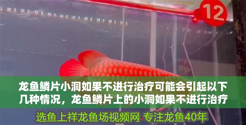 龍魚(yú)鱗片小洞如果不進(jìn)行治療可能會(huì)引起以下幾種情況，龍魚(yú)鱗片上的小洞如果不進(jìn)行治療
