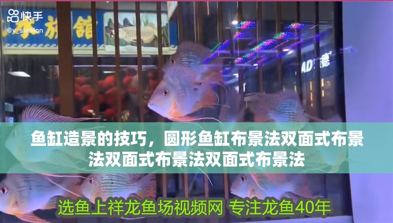 魚缸造景的技巧，圓形魚缸布景法雙面式布景法雙面式布景法雙面式布景法 魚缸造景的技巧，圓形魚缸布景法雙面式布景法雙面式布景法雙面式布景法 觀賞魚百科 第2張