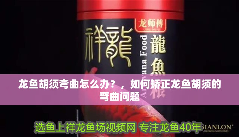 龍魚胡須彎曲怎么辦？，如何矯正龍魚胡須的彎曲問題