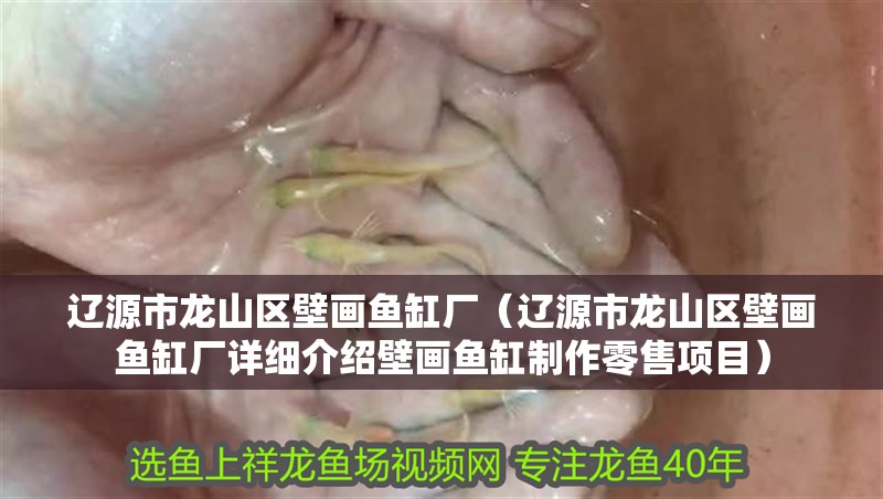 遼源市龍山區(qū)壁畫魚缸廠(遼源市龍山區(qū)壁畫魚缸廠詳細介紹壁畫魚缸制作零售項目) 觀賞魚百科 第3張 遼源市龍山區(qū)壁畫魚缸廠(遼源市龍山區(qū)壁畫魚缸廠詳細介紹壁畫魚缸制作零售項目) 遼源市龍山區(qū)壁畫魚缸廠(遼源市龍山區(qū)壁畫魚缸廠詳細介紹壁畫魚缸制作零售項目) 觀賞魚百科 第3張