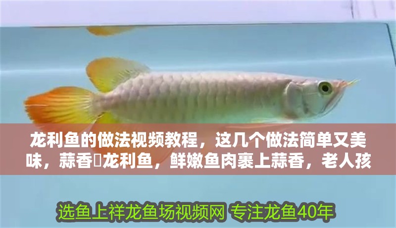 龍利魚的做法視頻教程，這幾個做法簡單又美味，蒜香焗龍利魚，鮮嫩魚肉裹上蒜香，老人孩子都愛吃