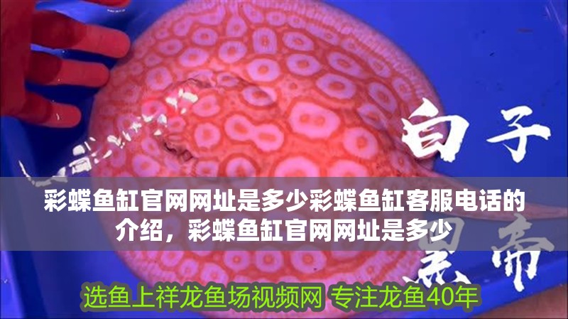 彩蝶魚缸官網(wǎng)網(wǎng)址是多少彩蝶魚缸客服電話的介紹，彩蝶魚缸官網(wǎng)網(wǎng)址是多少