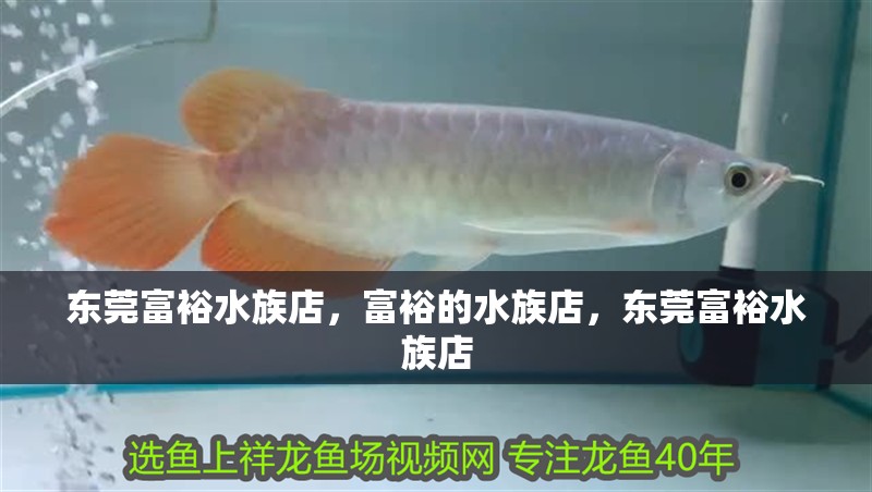 東莞富裕水族店，富裕的水族店，東莞富裕水族店