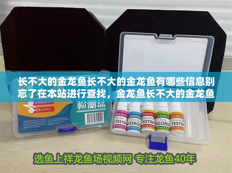 長不大的金龍魚長不大的金龍魚有哪些信息別忘了在本站進行查找，金龍魚長不大的金龍魚有哪些信息別忘了在本站進行查找