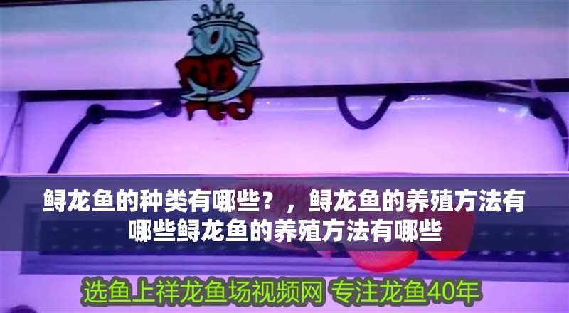 鱘龍魚的種類有哪些？，鱘龍魚的養(yǎng)殖方法有哪些鱘龍魚的養(yǎng)殖方法有哪些