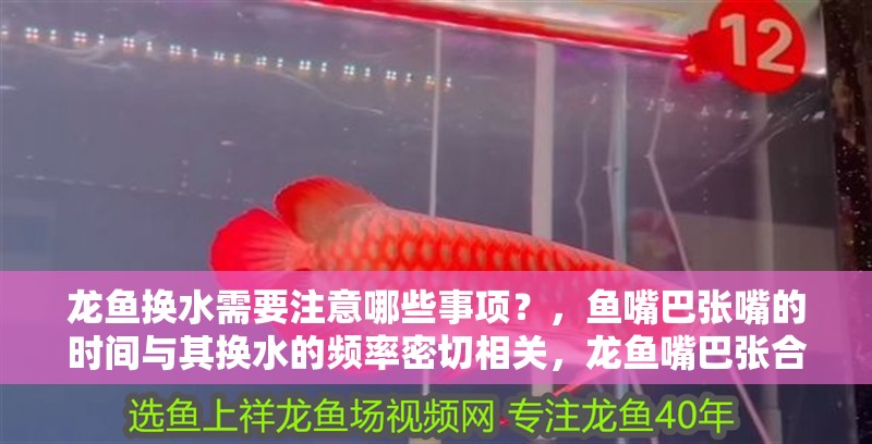 龍魚換水需要注意哪些事項？，魚嘴巴張嘴的時間與其換水的頻率密切相關，龍魚嘴巴張合頻率如何