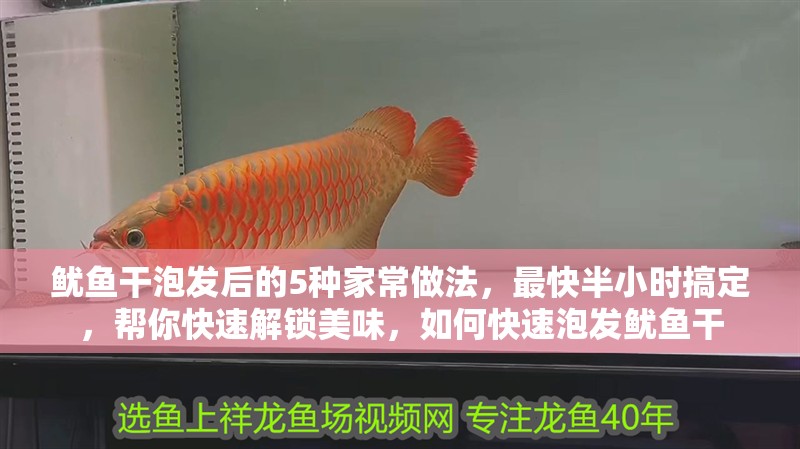 魷魚干泡發(fā)后的5種家常做法，最快半小時(shí)搞定，幫你快速解鎖美味，如何快速泡發(fā)魷魚干
