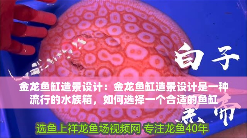 金龍魚缸造景設(shè)計：金龍魚缸造景設(shè)計是一種流行的水族箱，如何選擇一個合適的魚缸