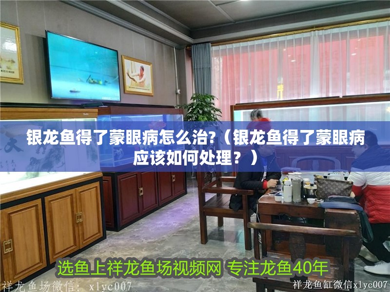 銀龍魚(yú)得了蒙眼病怎么治?（銀龍魚(yú)得了蒙眼病應(yīng)該如何處理？）