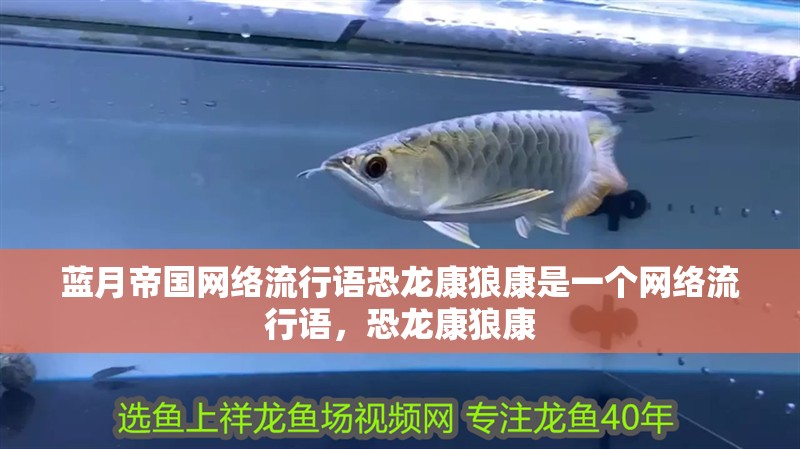 藍月帝國網絡流行語恐龍康狼康是一個網絡流行語，恐龍康狼康