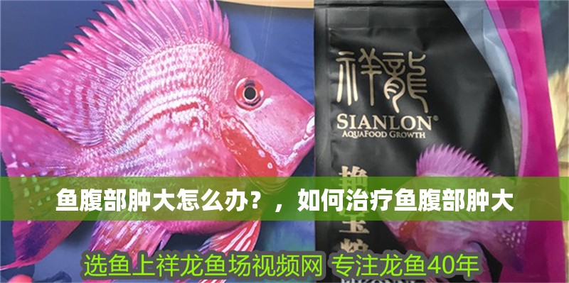 魚腹部腫大怎么辦？，如何治療魚腹部腫大