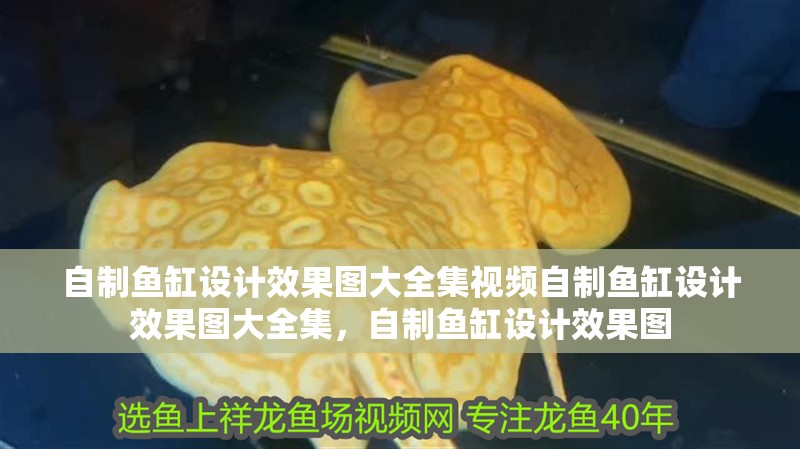 自制魚缸設計效果圖大全集視頻自制魚缸設計效果圖大全集，自制魚缸設計效果圖