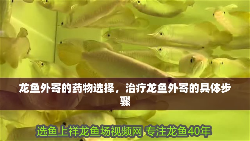 龍魚(yú)外寄的藥物選擇，治療龍魚(yú)外寄的具體步驟