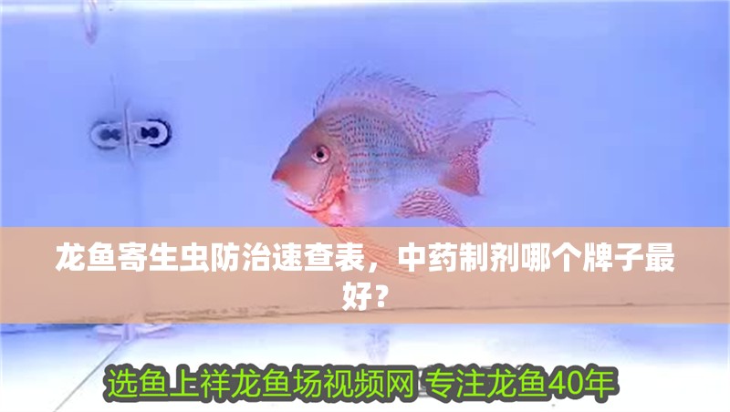 龍魚(yú)寄生蟲(chóng)防治速查表，中藥制劑哪個(gè)牌子最好？