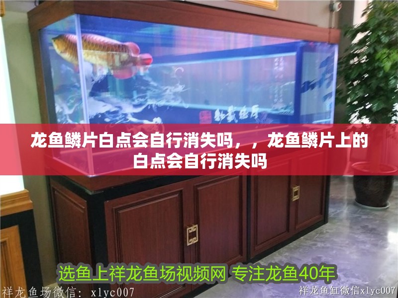 龍魚鱗片白點會自行消失嗎，，龍魚鱗片上的白點會自行消失嗎