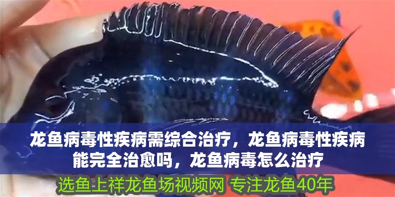 龍魚病毒性疾病需綜合治療，龍魚病毒性疾病能完全治愈嗎，龍魚病毒怎么治療 龍魚病毒性疾病需綜合治療，龍魚病毒性疾病能完全治愈嗎，龍魚病毒怎么治療 龍魚百科