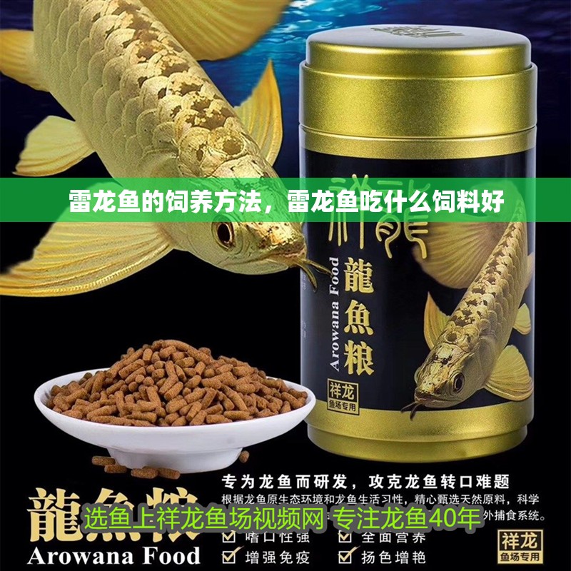 雷龍魚的飼養(yǎng)方法，雷龍魚吃什么飼料好