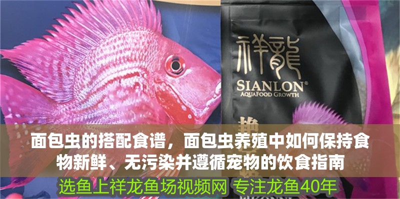 面包蟲的搭配食譜，面包蟲養殖中如何保持食物新鮮、無污染并遵循寵物的飲食指南