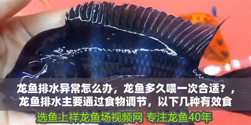 龍魚排水異常怎么辦，龍魚多久喂一次合適？，龍魚排水主要通過食物調節，以下幾種有效食物