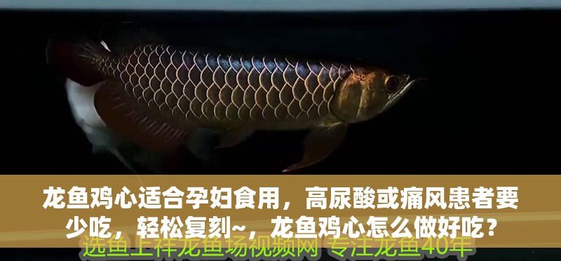 龍魚雞心適合孕婦食用，高尿酸或痛風(fēng)患者要少吃，輕松復(fù)刻~，龍魚雞心怎么做好吃？